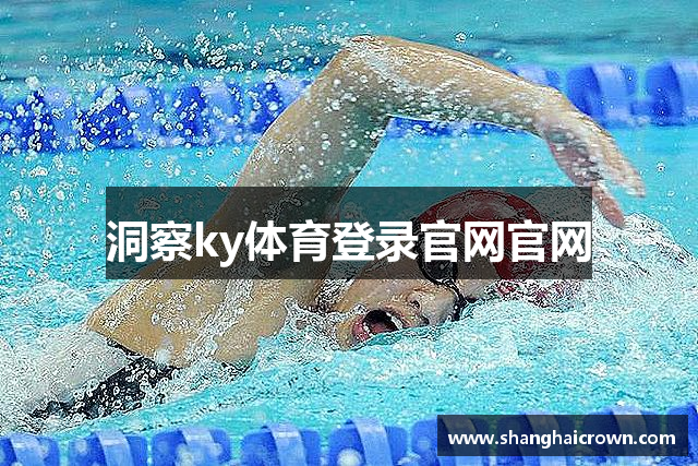 洞察ky体育登录官网官网